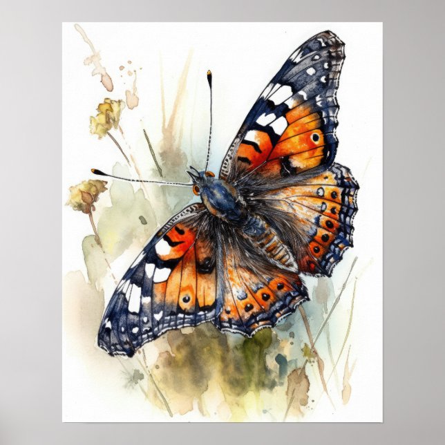 Phaon Crescent Butterfly Art Print Poster (Front)