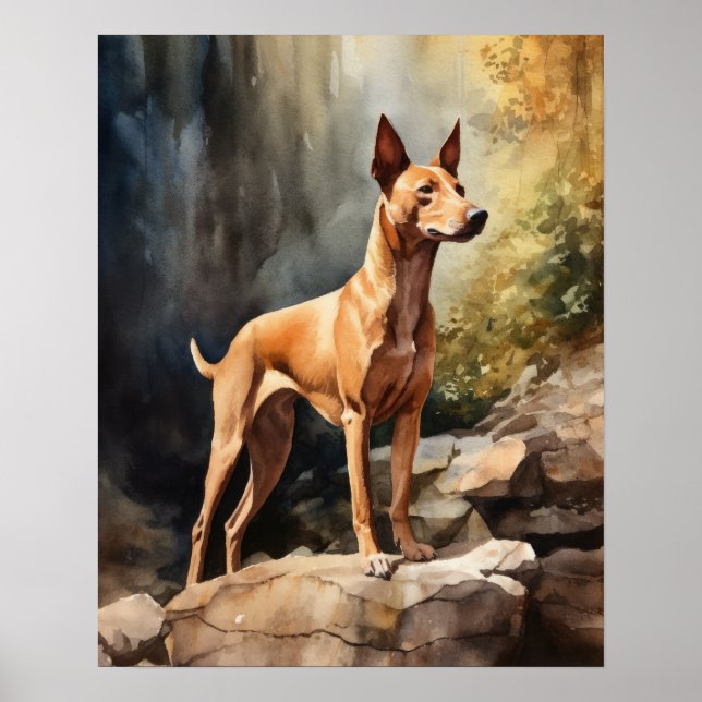 Pharaoh Dog Art Print Poster (Front)