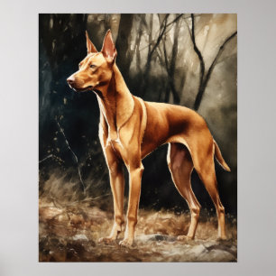 Pharaoh Dog Art Print Poster