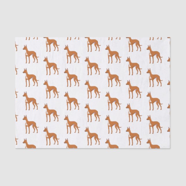 Pharaoh hound dog cartoon illustration  tissue paper (Front)