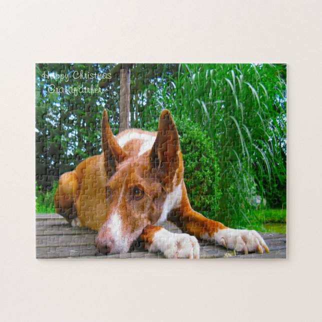 Pharaoh Hound Dog. Jigsaw Puzzle (Horizontal)