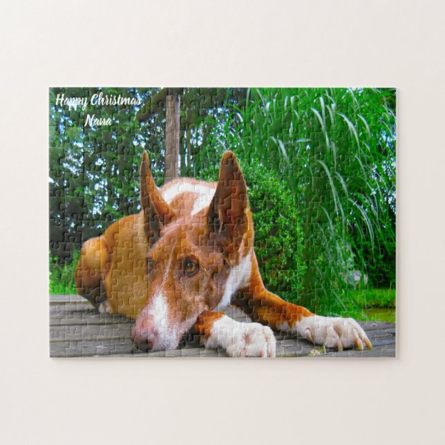 Pharaoh Hound Dog. Jigsaw Puzzle (Horizontal)