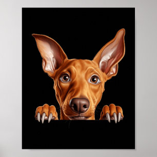 Pharaoh Hound Dog Mum Dad Peeking Puppy Poster