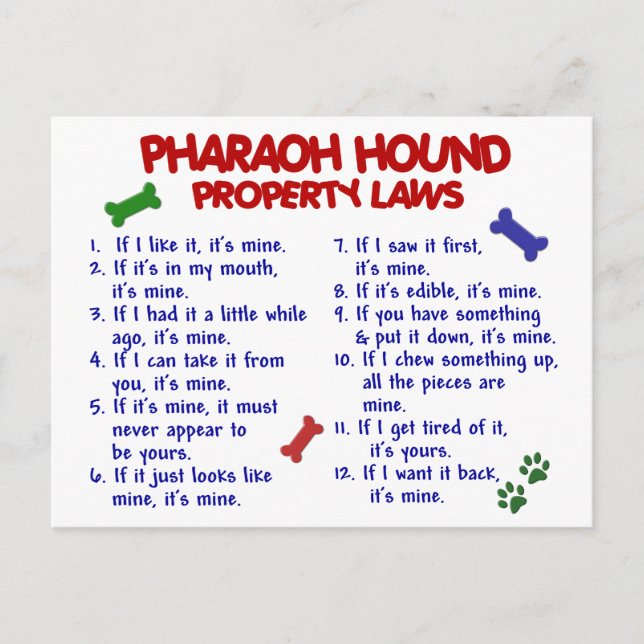 PHARAOH HOUND Property Laws 2 Postcard (Front)