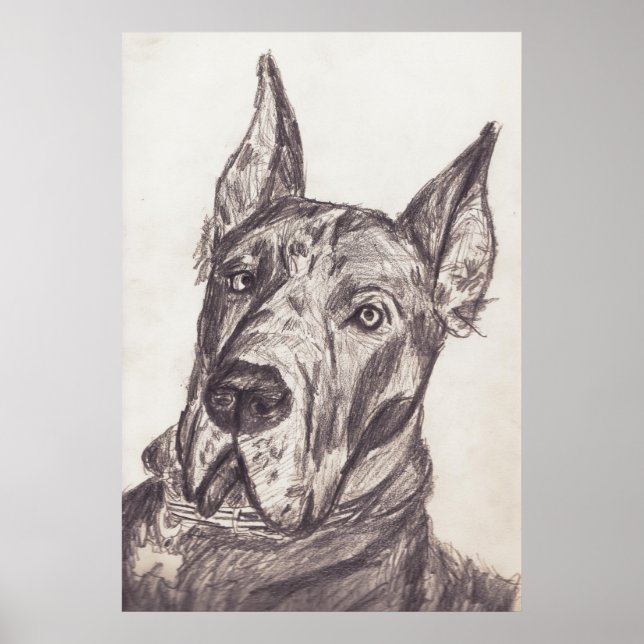 pharoah sk3 str poster (Front)