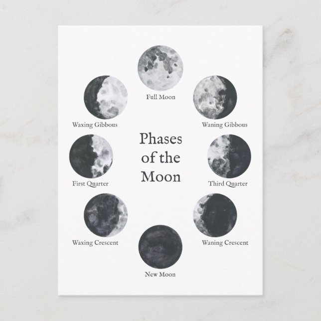 Phases of the Moon Lunar Cycle Postcard (Front)