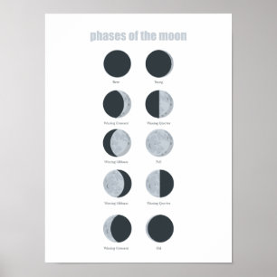 Phases Of The Moon Poster