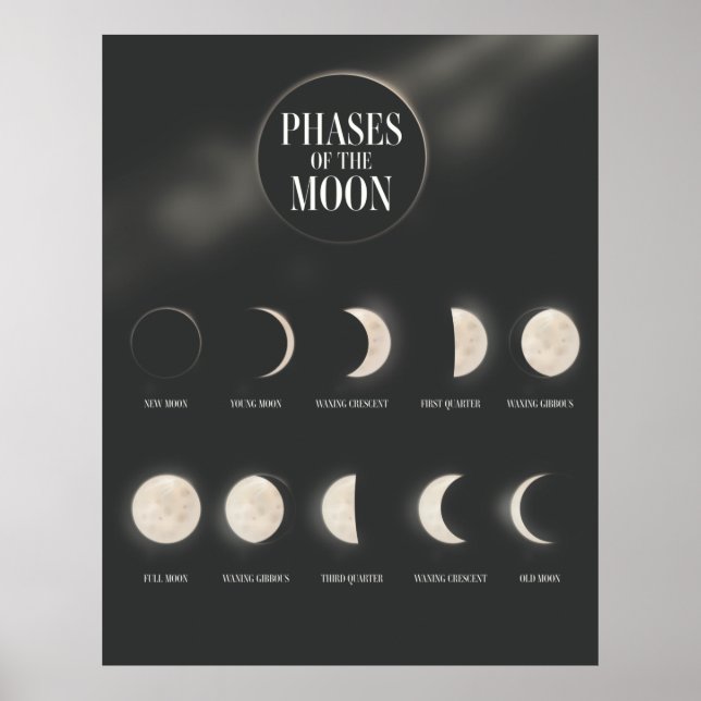 Phases of the Moon. Poster (Front)