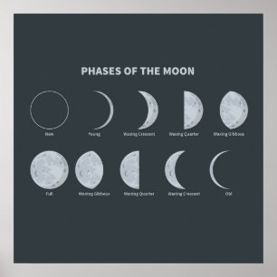 Phases of the Moon Poster