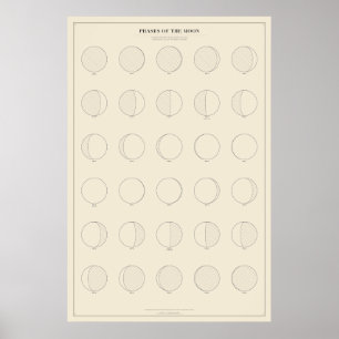 Phases of the Moon Poster