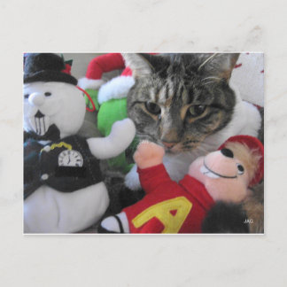 Phat Cat & Friends Holiday Postcard