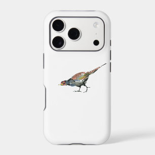 Pheasant