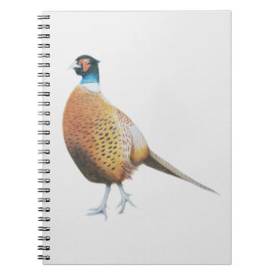 Pheasant 2012 notebook