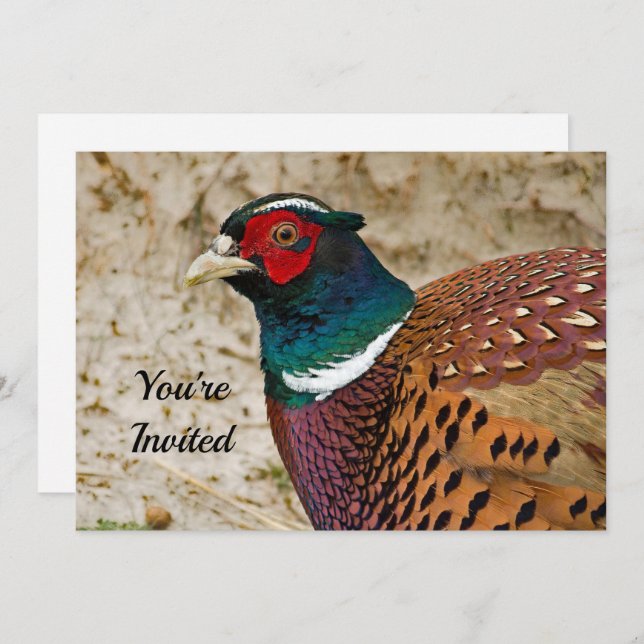 Pheasant 3 Birthday Invitation (Front/Back)