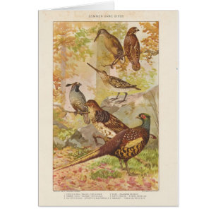 Pheasant and Game All Occasion Blank Greeting