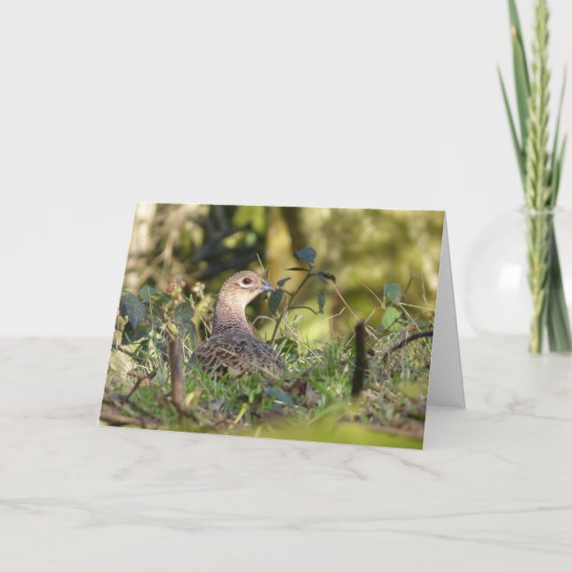 Pheasant bird card (Front)