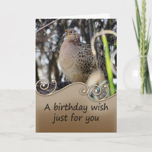 Pheasant Birthday Card - Wildlife Birthday Card