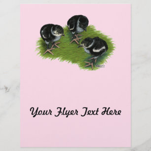 Pheasant Black Chicks Flyer