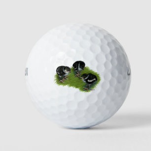 Pheasant Black Chicks Golf Balls