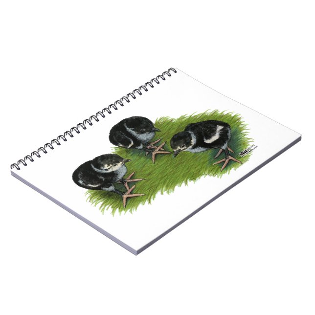 Pheasant Black Chicks Notebook (Left Side)