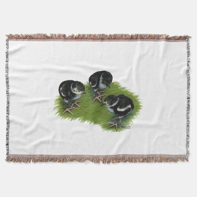 Pheasant Black Chicks Throw Blanket (Front)