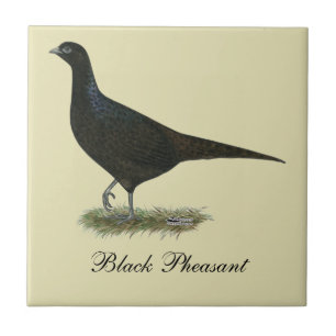 Pheasant Black Hen Ceramic Tile