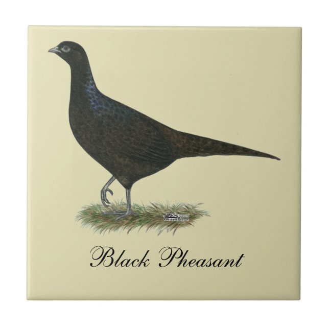 Pheasant Black Hen Ceramic Tile (Front)