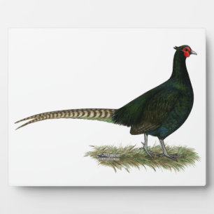 Pheasant Black Rooster Plaque