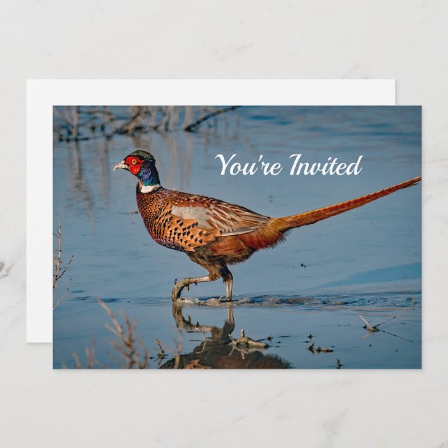 Pheasant Blue Water Photo Birthday Invitation (Front/Back)