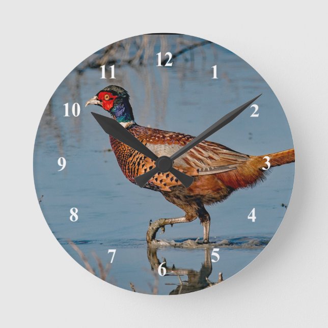 Pheasant Blue Water Photo Round Clock (Front)