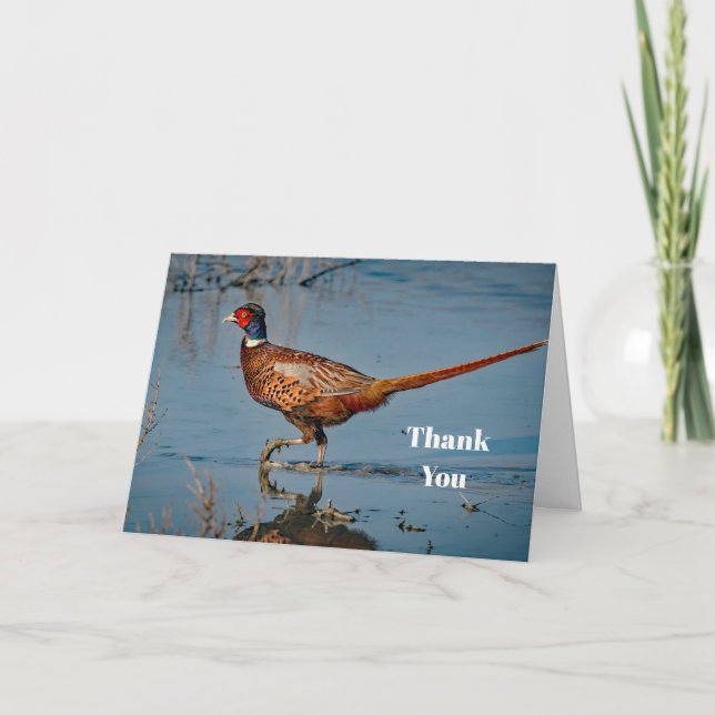 Pheasant Blue Water Photo Thank You Card (Front)