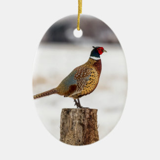 Pheasant Ceramic Ornament