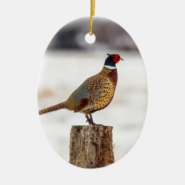Pheasant Ceramic Ornament (Front)