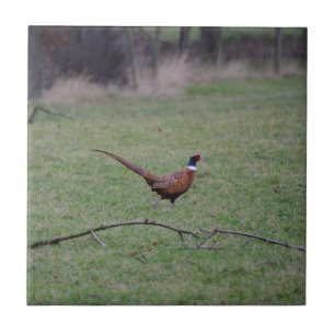 Pheasant Ceramic Tile