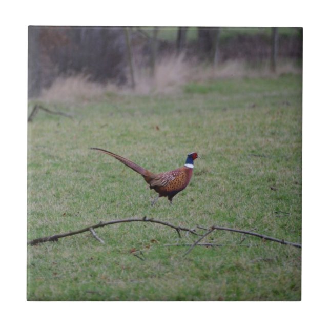 Pheasant Ceramic Tile (Front)