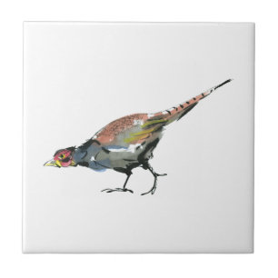 Pheasant Ceramic Tile