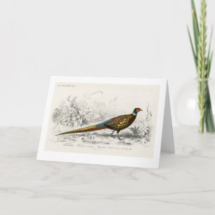 Pheasant for Christmas - Vintage Art - Holiday Card