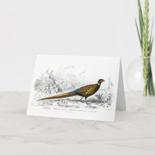 Pheasant for Christmas - Vintage Art - Holiday Card