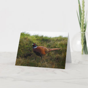 Pheasant graphic art Birthday Card