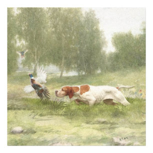 Pheasant Hunting with Pointer    Photo Print