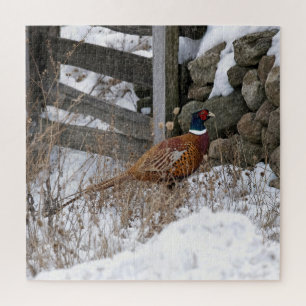 Pheasant in Snow Jigsaw Puzzle