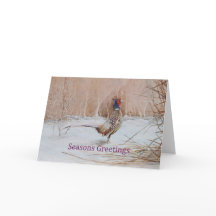 Pheasant in snow Seasons Greeting art
