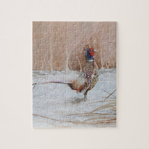 Pheasant in the snow jigsaw puzzle