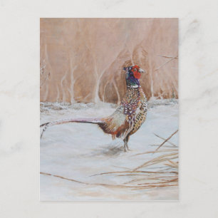 Pheasant in the snow postcard