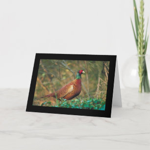Pheasant in Woodland Card