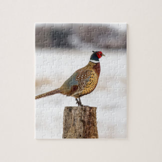 Pheasant Jigsaw Puzzle