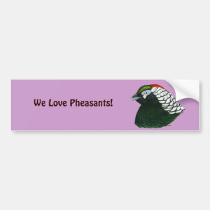 Pheasant: Lady Amherst Rooster Bumper Sticker