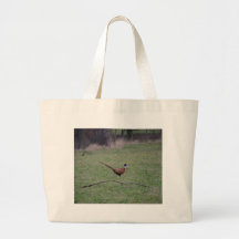 Pheasant
