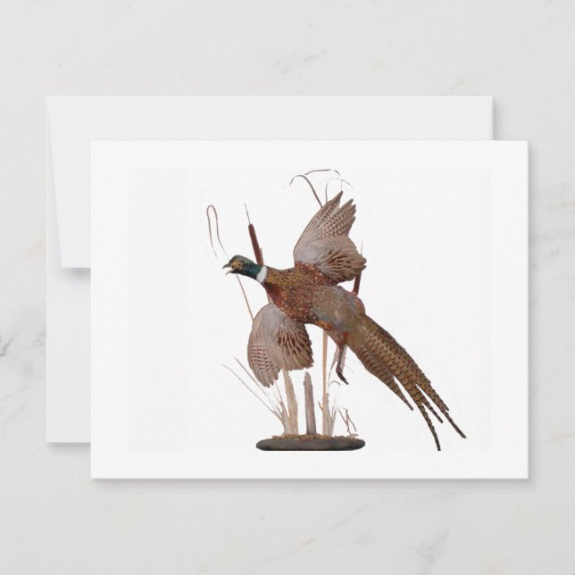 Pheasant Mount (Front)
