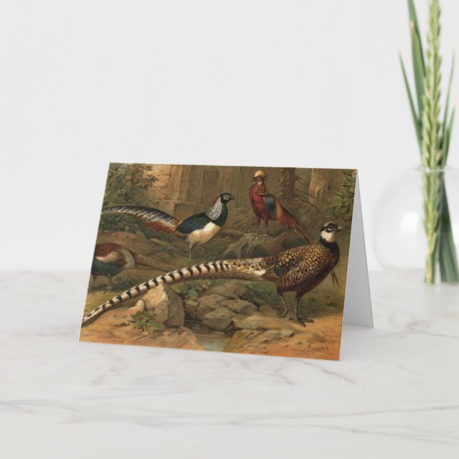Pheasant note card (Front)